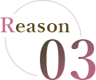 reason03