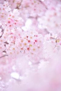 新生活のストレスと肌荒れ対策