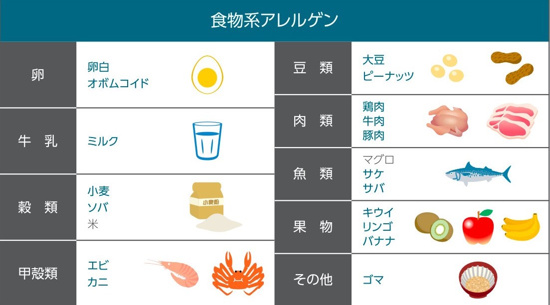 食べて体に入るもの（食物系アレルゲン）